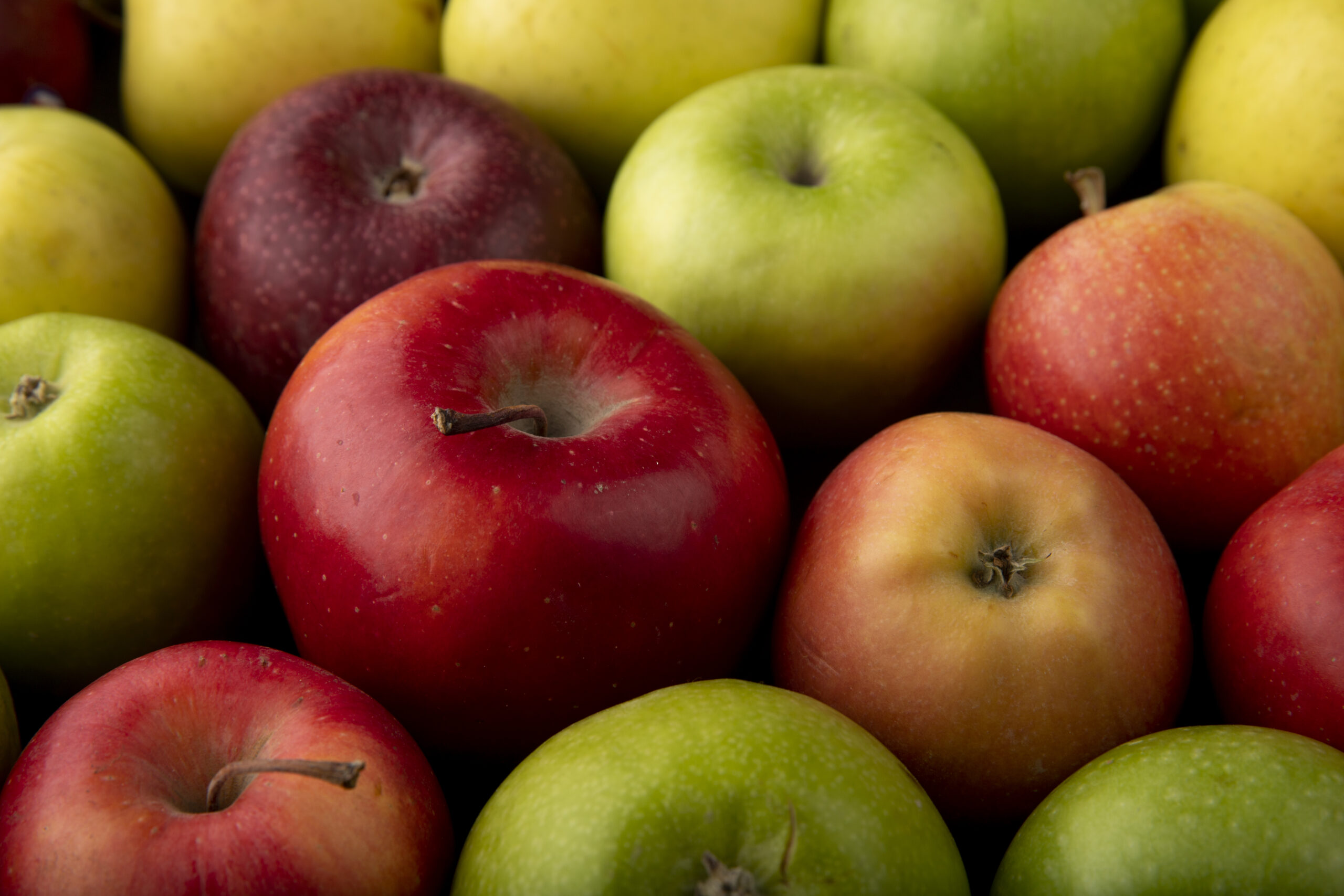 Fruta fresca de exportación Puglifrut, recién cosechada.
